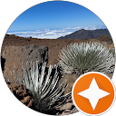 Alla P profile picture
